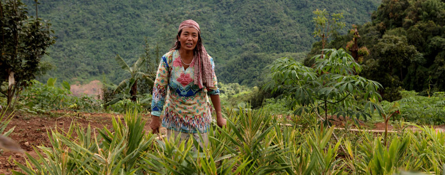 Impact on Agriculture