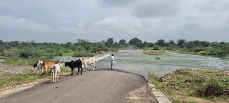 Moving Upstream: Luni – Fellowship